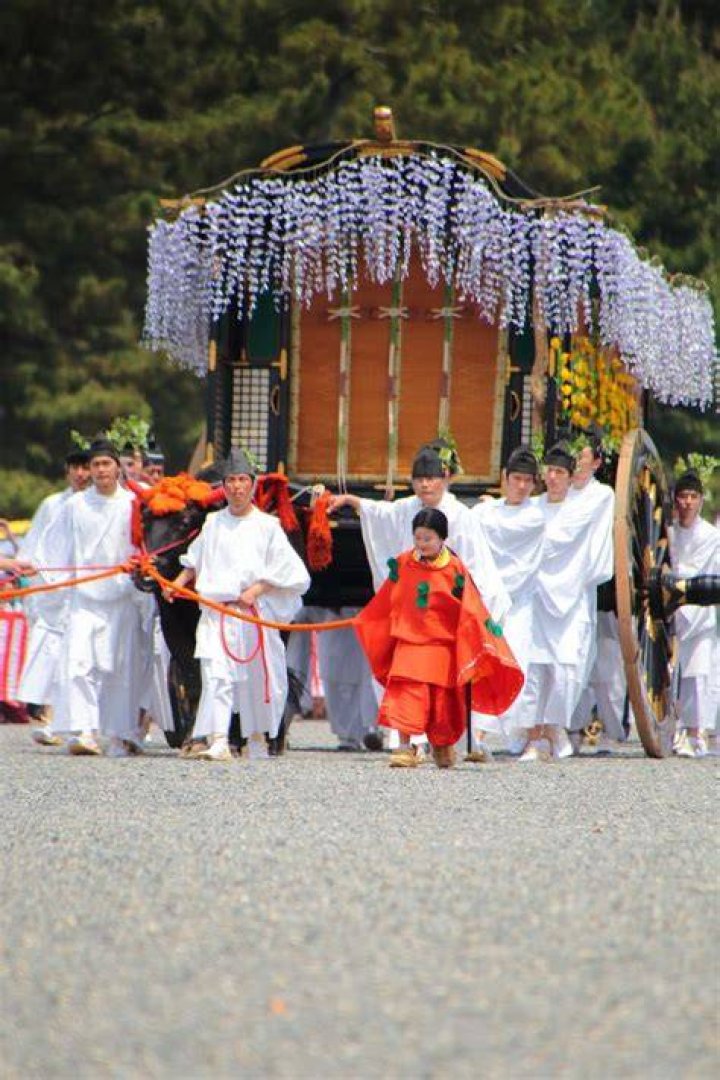 葵つかさお祭り女